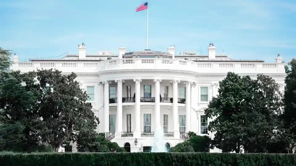 Amazon, Google, Tesla among top 25 OPT hirers in US; Indians lead STEM list