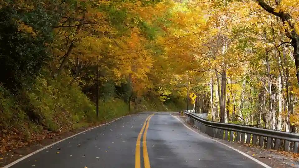 Canada Immigration During COVID-19: What You Can Do Now