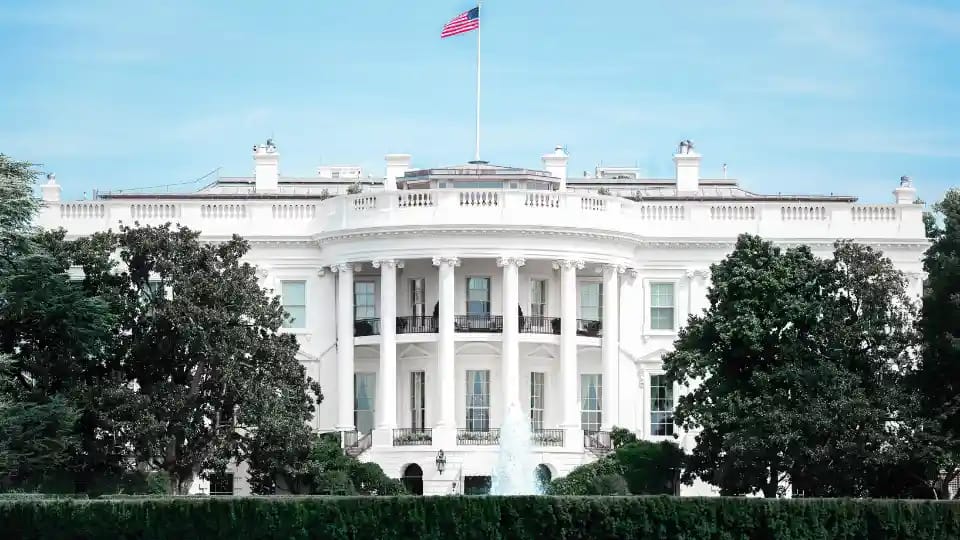 Amazon, Google, Tesla top OPT hiring list with Indian students leading STEM participation