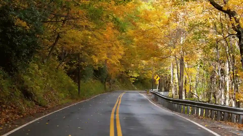 Canada immigration during COVID-19 lockdown