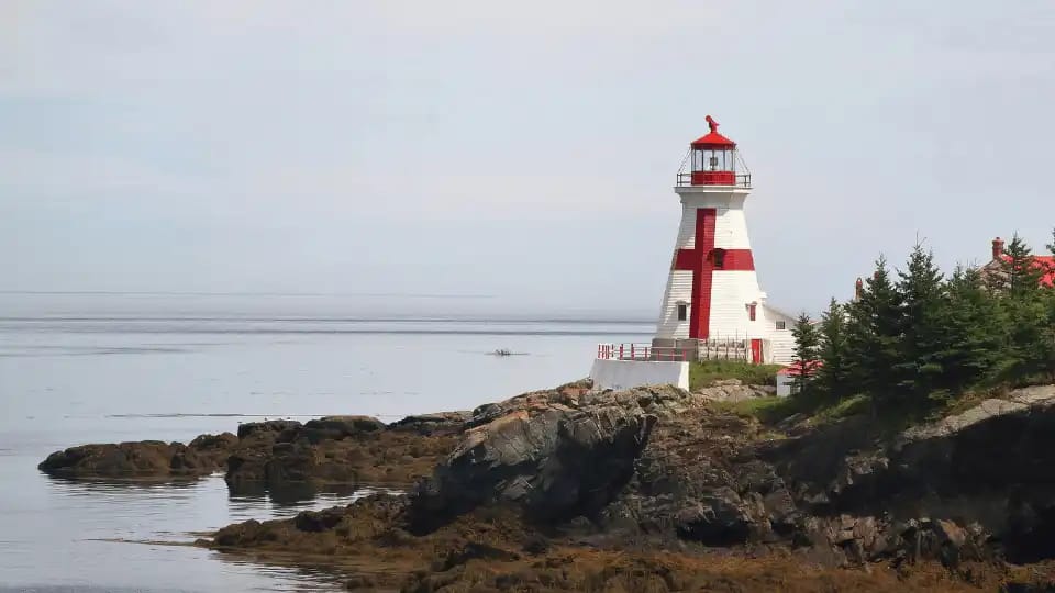 Key Goals of New Brunswick Provincial Nominee Program for Next 5 Years