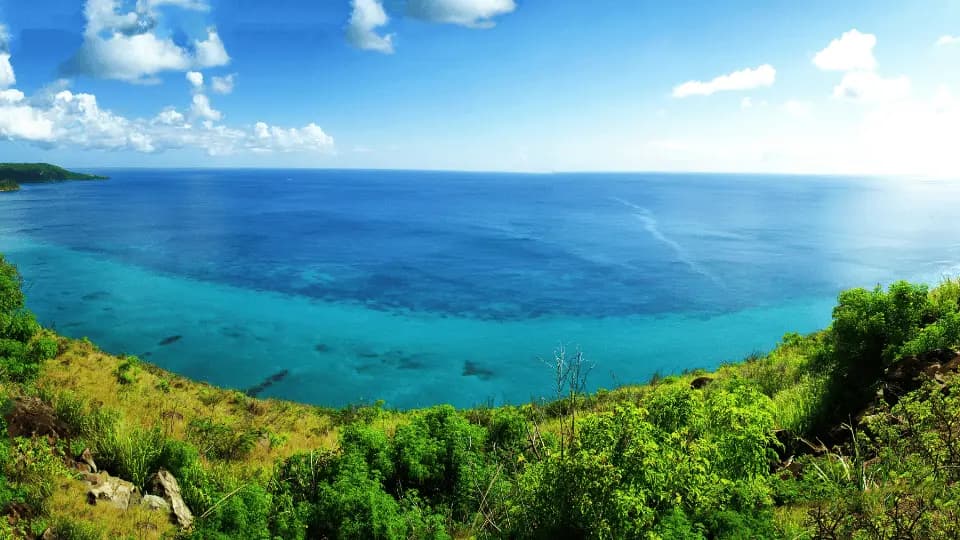 Choose the Best Citizenship by Investment Program (Caribbean Guide)