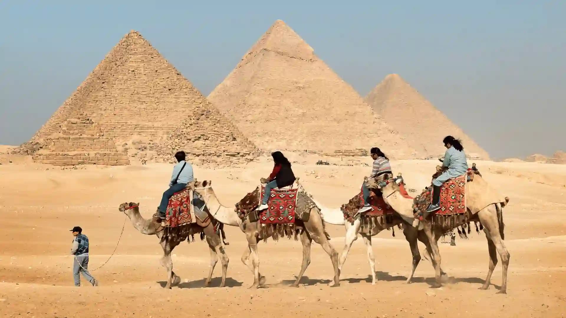 Business Investment – Egypt CBI