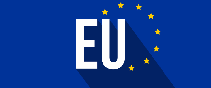 EU Blue Card: Gateway to European Residency and Citizenship