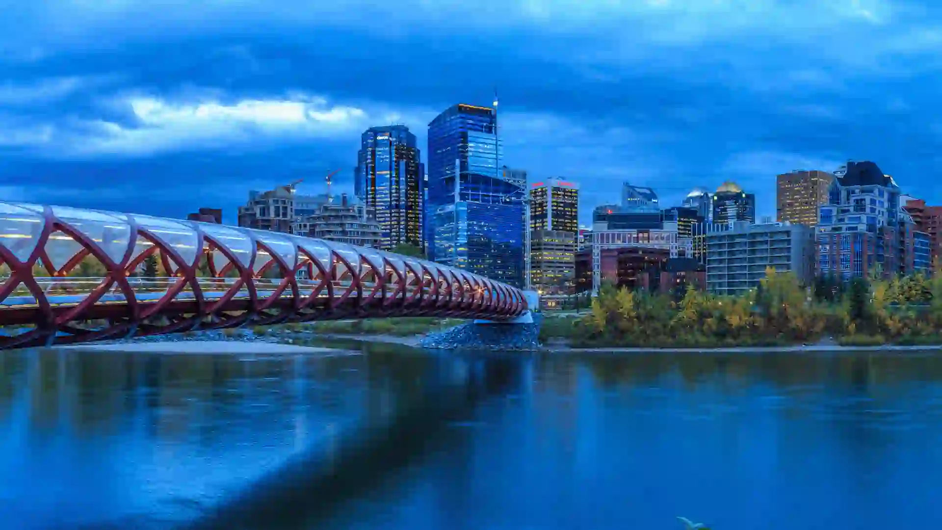 Federal Self-Employed Persons Program thumbnail