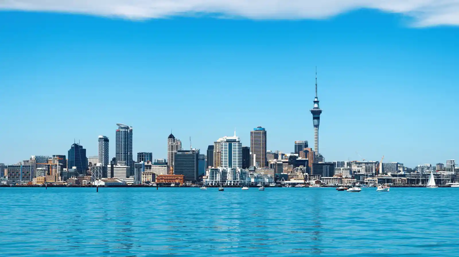 New Zealand RBI - Active Investor Plus Balanced Category — New Zealand