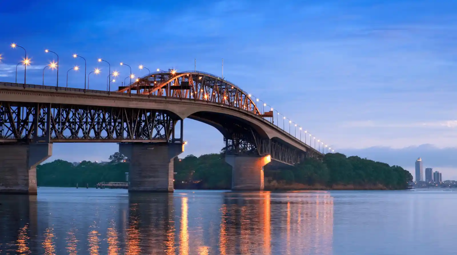 New Zealand RBI - Active Investor Plus Growth Category — New Zealand